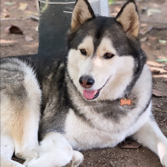 Meet your Posher, Vince - Picture 1 of 1